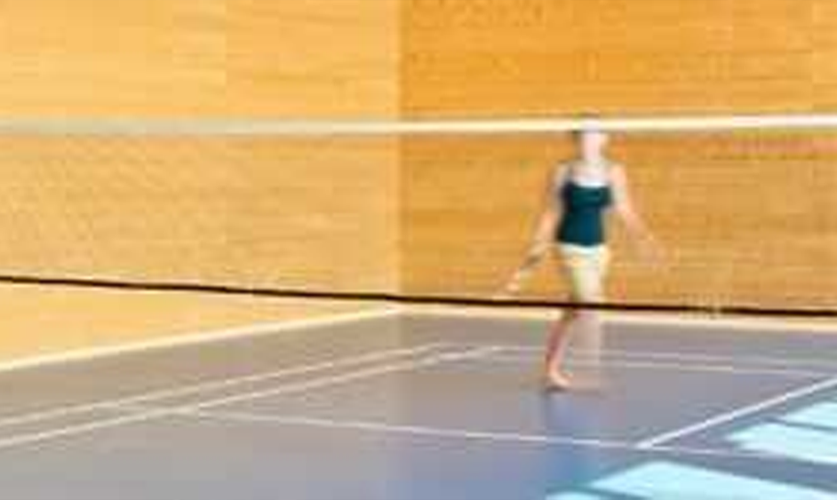 badminton hall badmintonhalle aktuelles