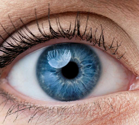 Beitragsbild EMDR Fachworkshop in Odense für ausgebildete EMDR-Therapeuten