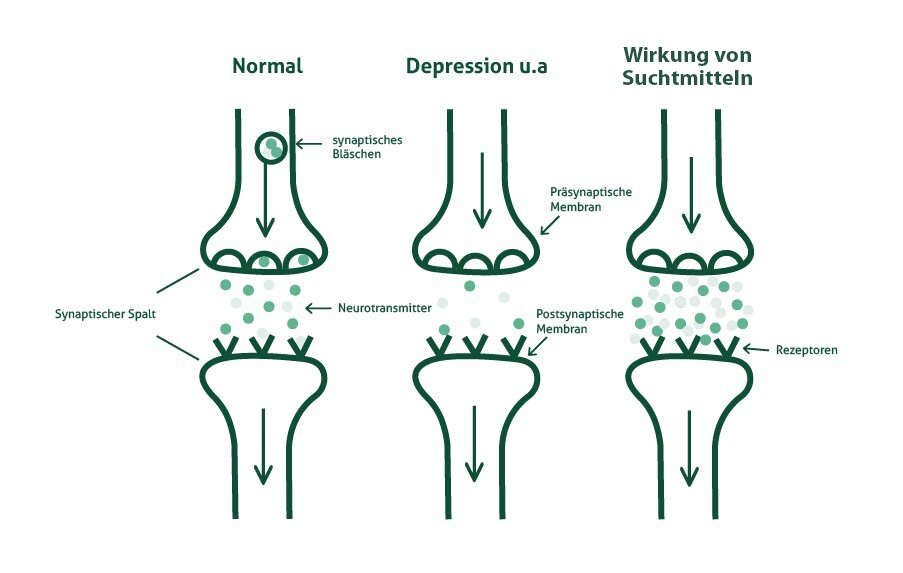 neurotransmitter_im_Gehirn_Klinik-Friedenweiler_angepasst Neurotransmitter Erklärungsbild