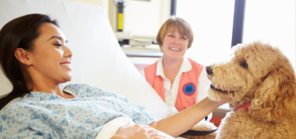 Tiergestuetzt Hund | Klinik Friedenweiler