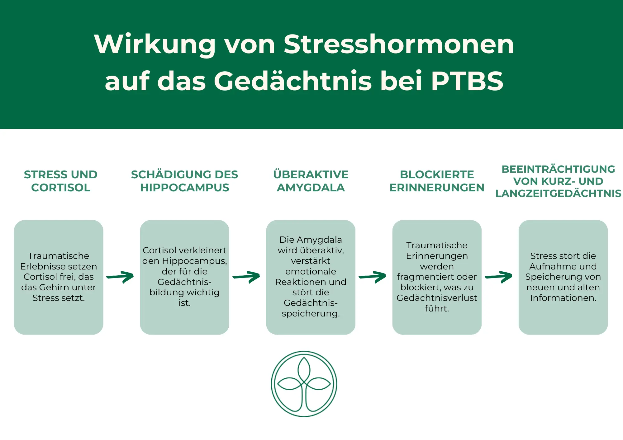 KFW Amnesie Stress Wirkung KFW Amnesie Stress Wirkung
