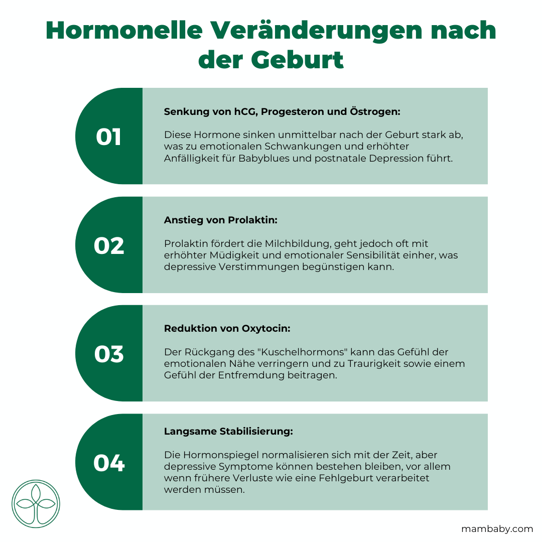 KFW-Postnatale-Depression-Hormonelle-Veränderung KFW-Postnatale-Depression Hormonelle Veränderung