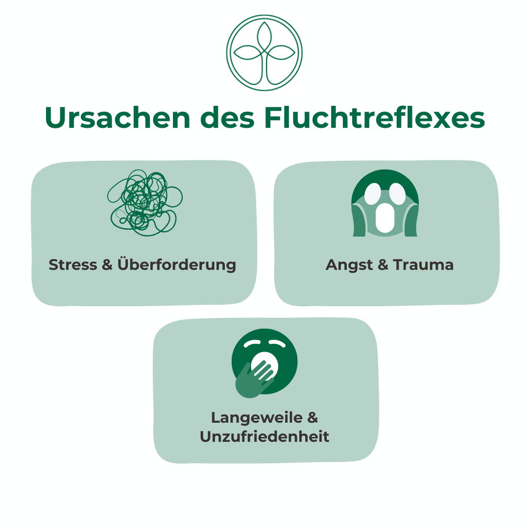 KFW-Fluchtreflex KFW-Fluchtreflex