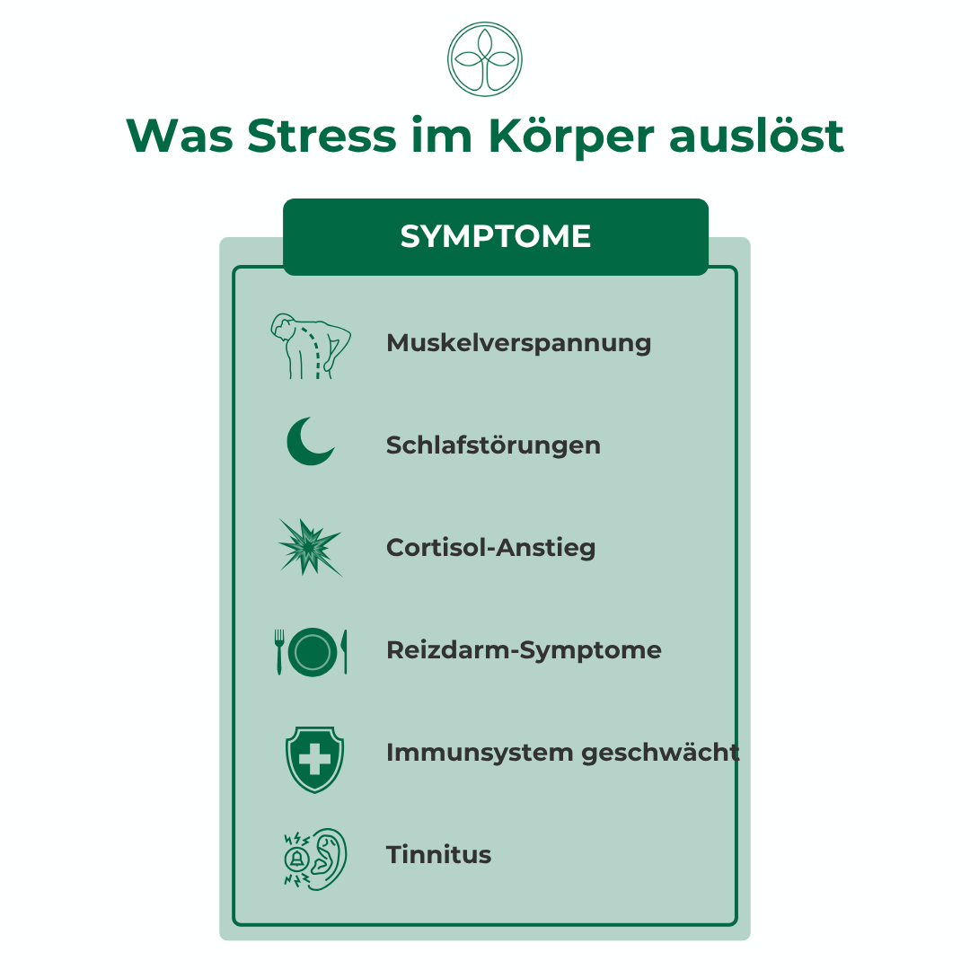 Wenn der Körper Alarm schlägt – Reizdarm, Herzstolpern und Tinnitus als Stress-Symptome verstehen Stress Symptome