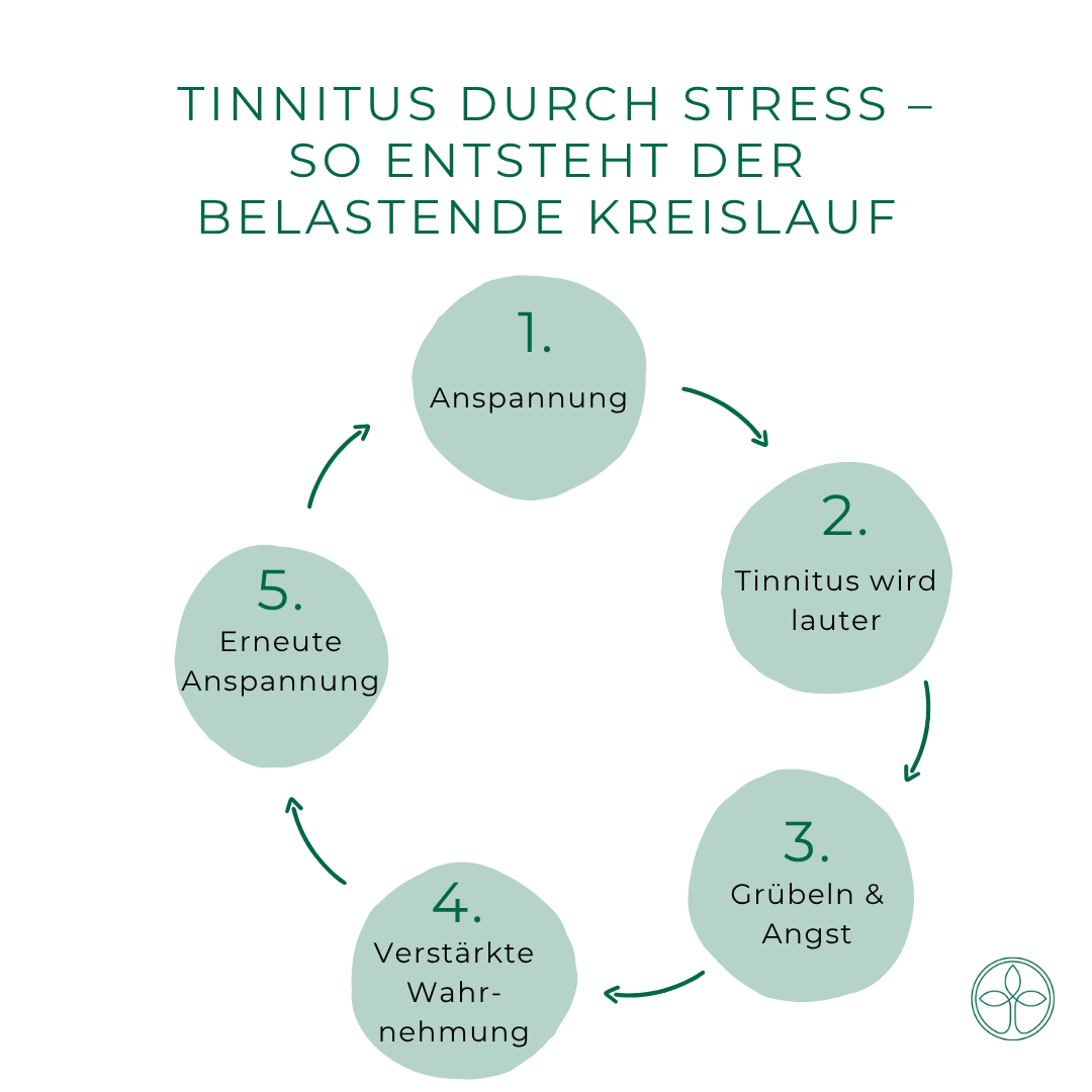 Wenn der Körper Alarm schlägt – Reizdarm, Herzstolpern und Tinnitus als Stress-Symptome verstehen(1) Tinitus durch Stress