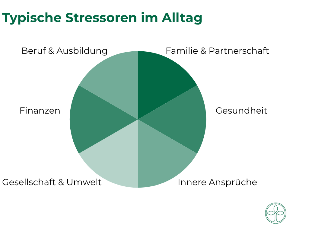 Stress & Cortisol – psychische Belastung erkennen und bewältigen(6)