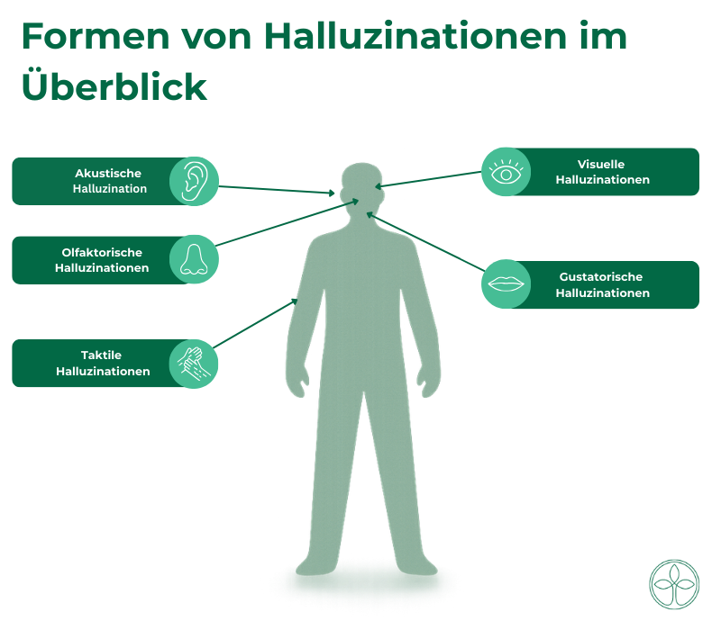 Halluzinationen-und-veränderte-Wahrnehmung-Wenn-Realität-und-Erleben-auseinandergehen-_5_ Formen von halluzinationen im Überblick Akustische Halluzination, visuelle Halluzinationen, olfaktorische Halluzinationen, gustatorische Halluzinationen & taktile Halluzinationen.