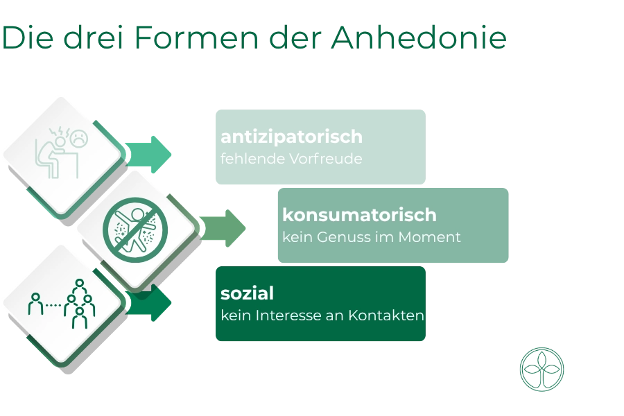 Anhedonie – Wenn Freude verloren geht (2) Die drei Formen der Anhedonie